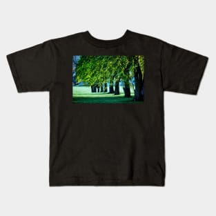 Sunlit Treeline Kids T-Shirt